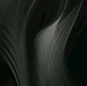 Meet your Posher, Lisha